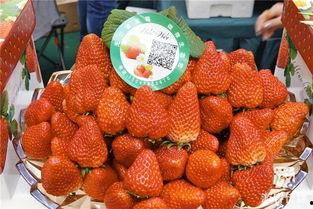 国产草莓在线,甜蜜滋味，绿色健康新选择