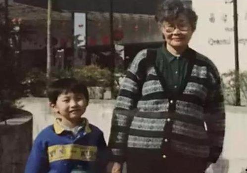 娱乐圈吃瓜双男主文,瓜田里的双男主风云录